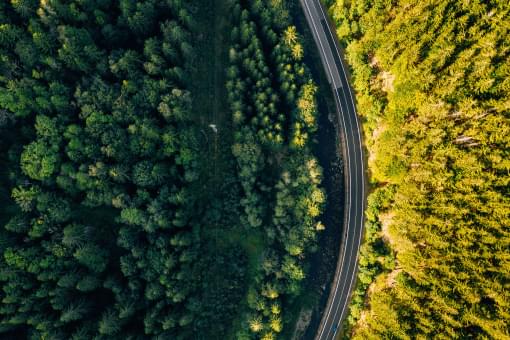 Sustainability Management