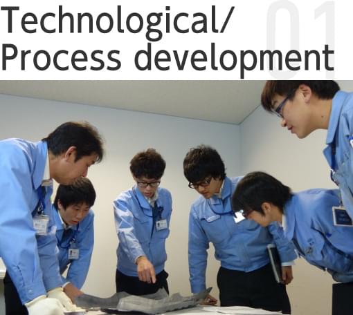Technological/Process development