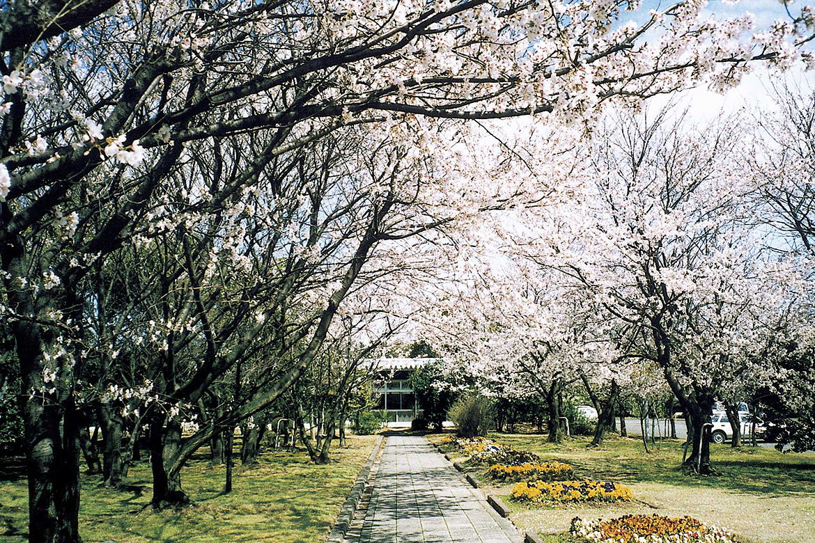 Kita Ogaki Plant, which received the Prime Minister’s Award in the Greening Promotion Movement
