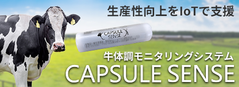 CAPSULE SENSE