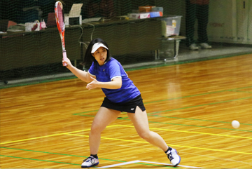 平成29年度 日本リーグ入替戦